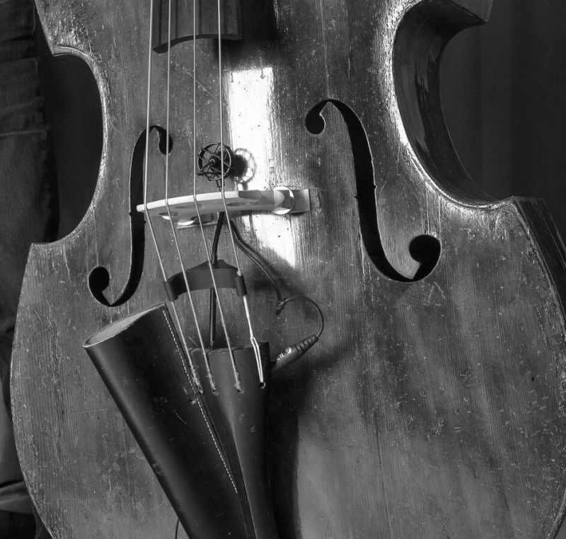 Prodipe BL21 - mikrofon instrumentalny - 7