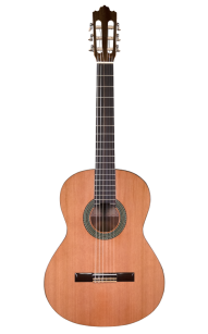Prodipe Guitars Recital 300 4/4 - gitara klasyczna