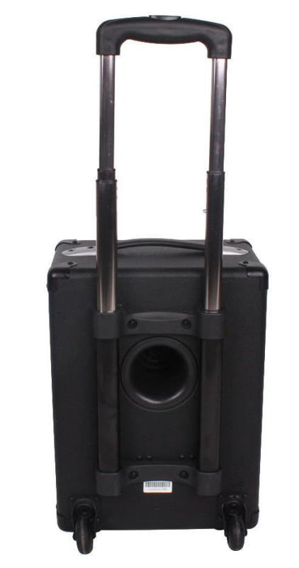 Joyo JPA-862 - przenośny wzmacniacz instrumentalny - 5