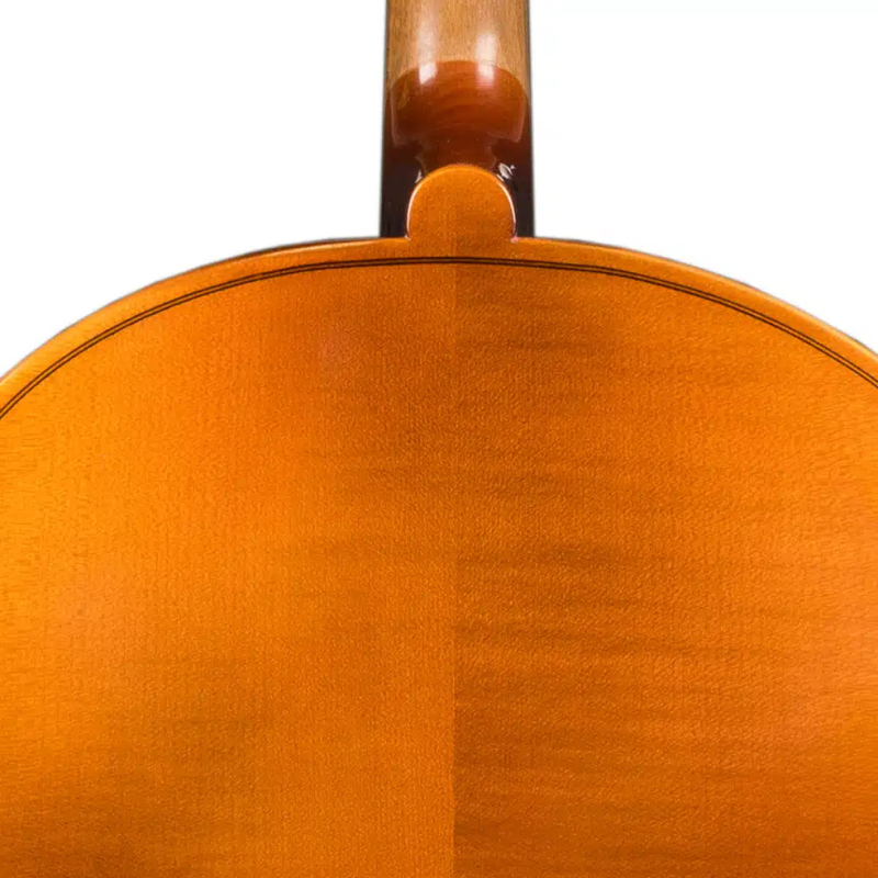 Hora C120 - wiolonczela 3/4 - 4