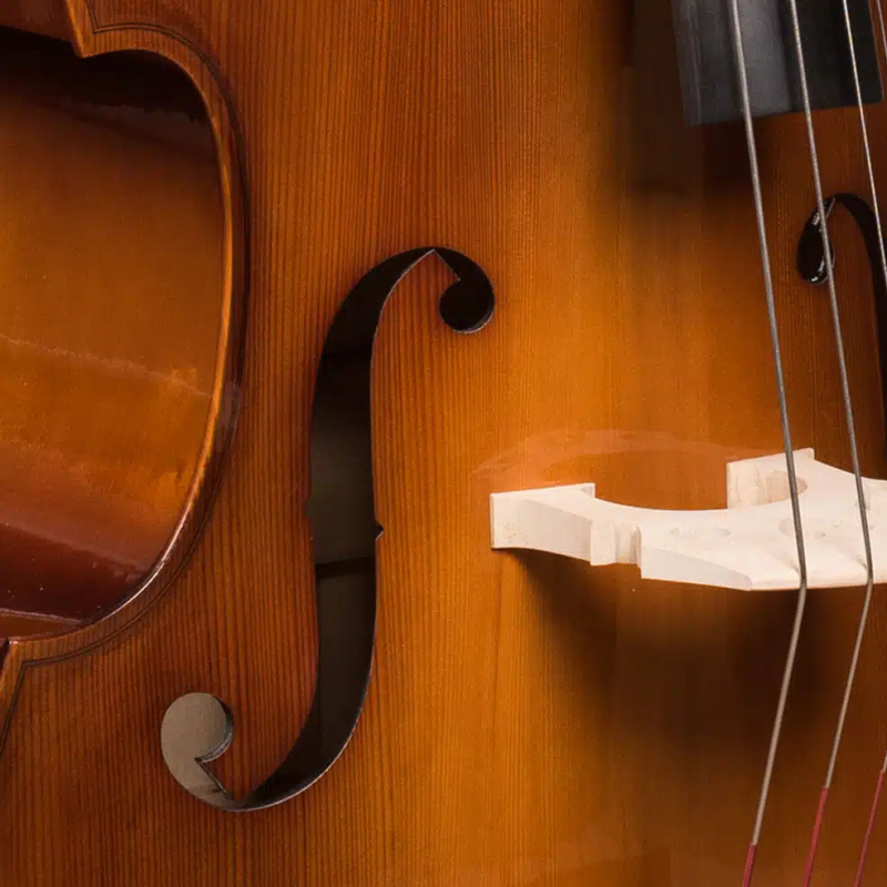 Hora B100 - kontrabas 1/8 - 8